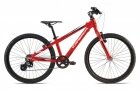  Orbea MX 24 Dirt